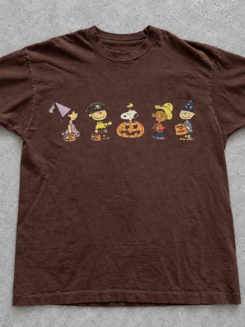 Gildan Brown Halloween Peanuts Graphic Tee with Charlie Brown & Friends